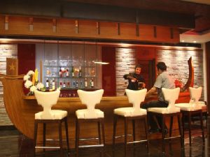 Goa Winter Package - Godwin Hotel